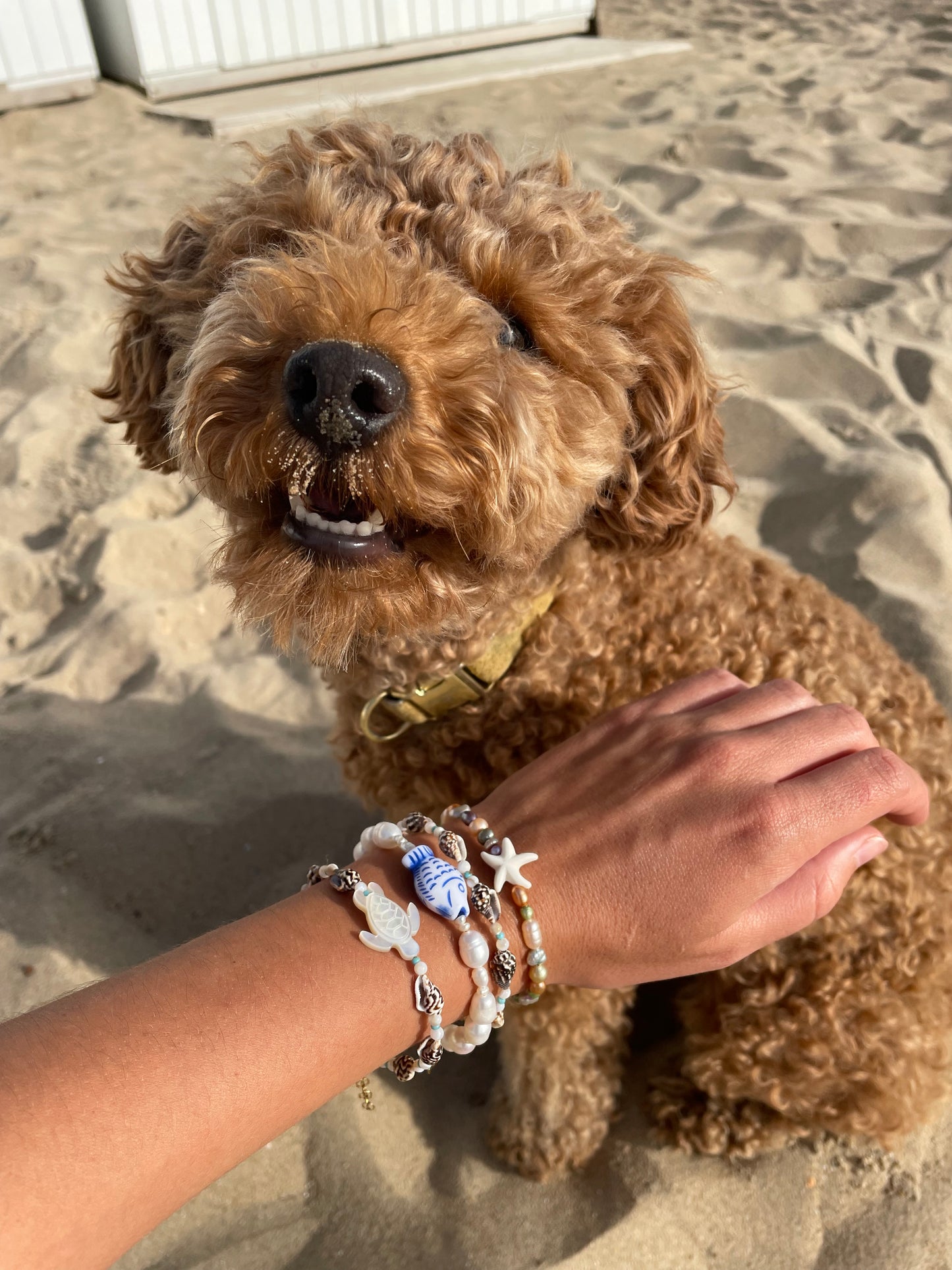 Ocean bracelet