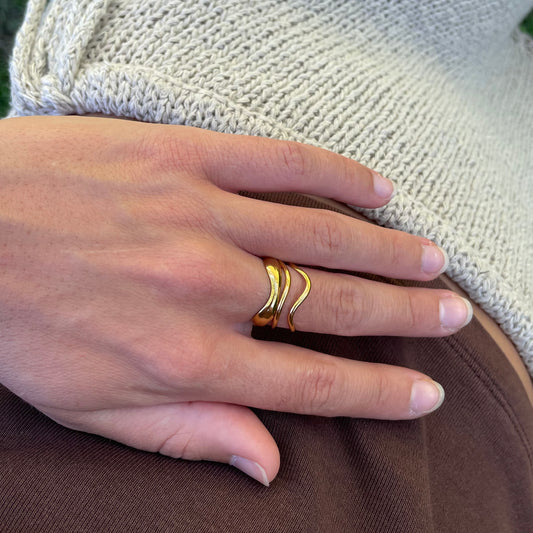 Saltwater ring