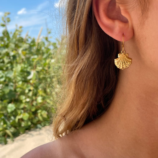 Golden shell earrings