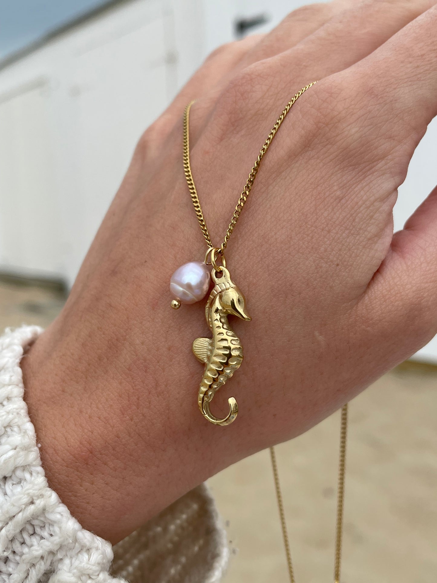 Seahorse necklace